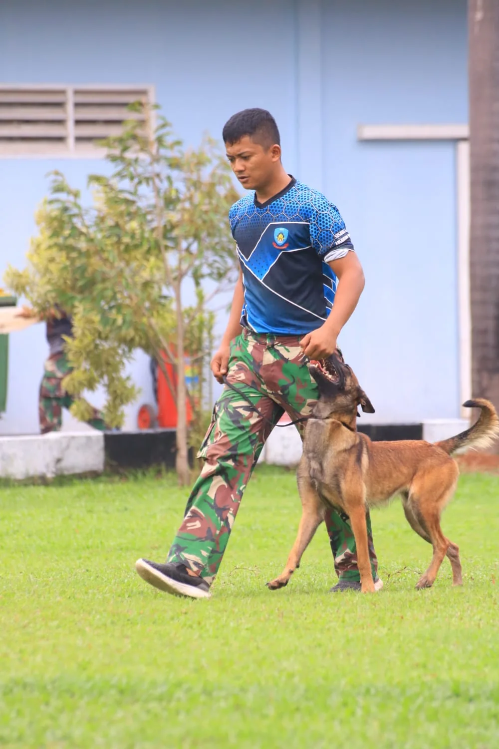 Handler melakukan latihan berjalan bersama satwa K9.